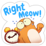 RightMeow
