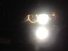 oGoldberGo