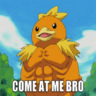 BroDucks
