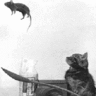 ванька
