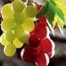 GrapesDen