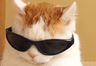 ykAtt