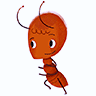 AntS