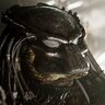 mrPredator