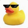 alcoduck