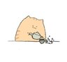 Jozin_z
