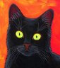 CatNelson