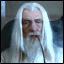 z_poker