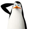 kowalsky_a