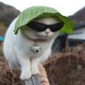 grime_ochki