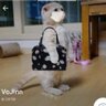 VoJinn