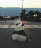 Artem_Sep