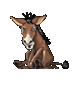 Ivanuraser