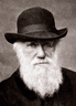 Darwin2