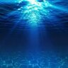 LudoFish