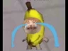 godeery