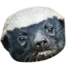 Fu9u