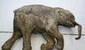 mammoth28