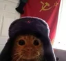 Brda
