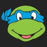 CrazyTurtle