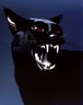 Russian_Joker