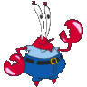 Zebr