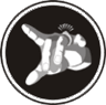 CanesVenaticy