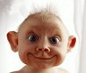 N_alexandr