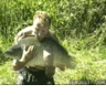 cToPy6Jleu