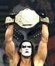 sting5002