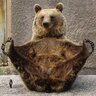 MoscowMishka