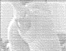 no_nick_name