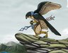 _FALCON_