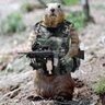 Gopher