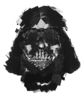 DarthVader
