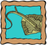 torpediniformes