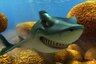Crazyshark