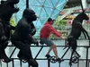 Итоги WSOP 2025: Скорпионы, колибри, тараканы и другие животные Вегаса